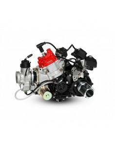 Motor Rotax 125 Max DD2 Evo 2 (Sin batería)