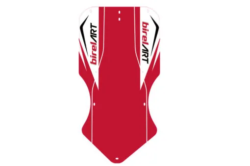 PLANCHA AM29  CON  ADHESIVO BIRELART