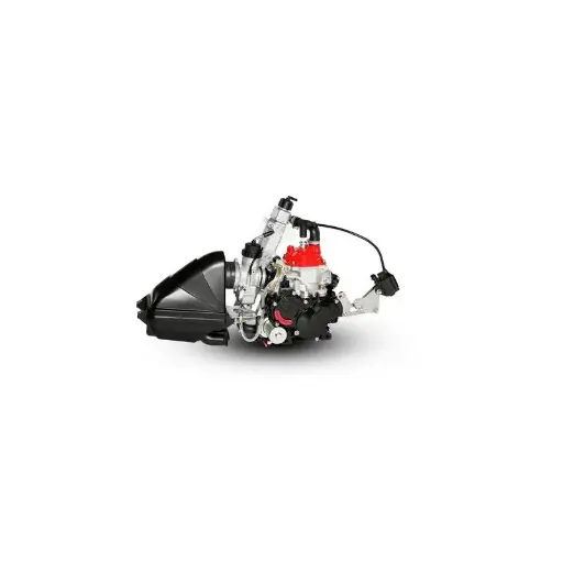 [R350125130] MOTOR ROTAX JUNIOR EVO 2025 (Sin batería)